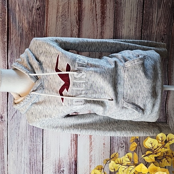 HOLLISTER CALIFORNIA GRAY UNISEX LONG SLEEVE PULLOVER HOODED SWEATSHIRT - Picture 2 of 15